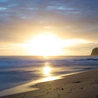 Sargood on Collaroy